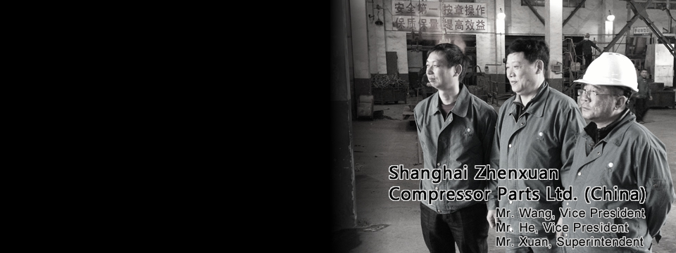 Shanghai Zhenyuan Compressor Parts Ltd. (China)